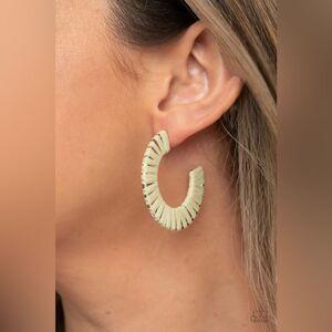 A Chance of Rainbows Green Earrings (111)